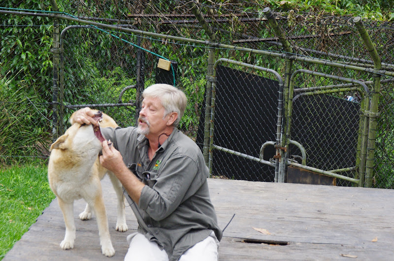 ARP 2014 - Alpine Dingo with keeper