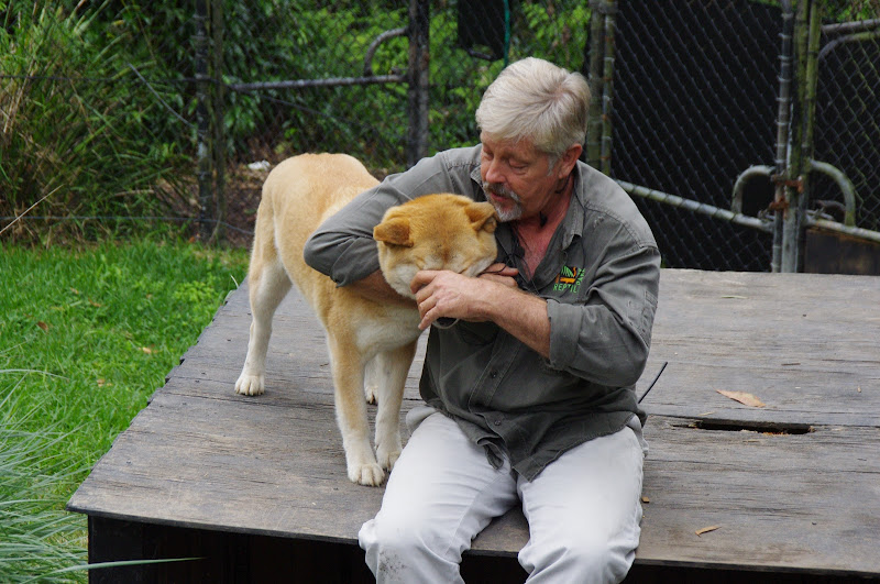 ARP 2014 - Alpine Dingo with keeper