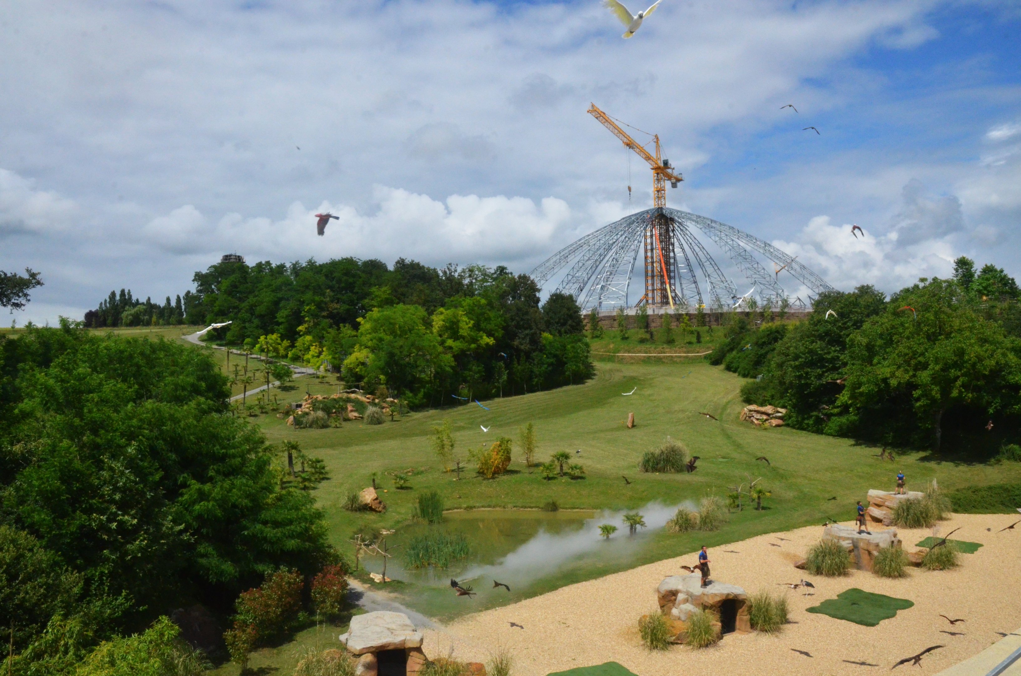 Arrival of the Parrots - Les Maîtres des Airs at Beauval, 12/06/18
