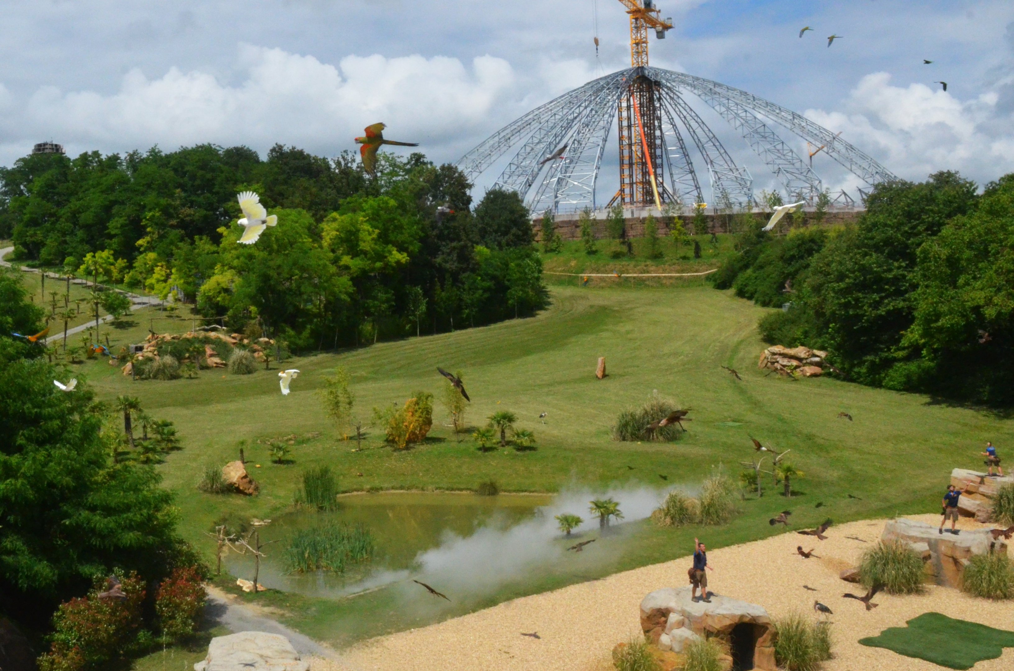 Arrival of the Parrots - Les Maîtres des Airs at Beauval, 12/06/18