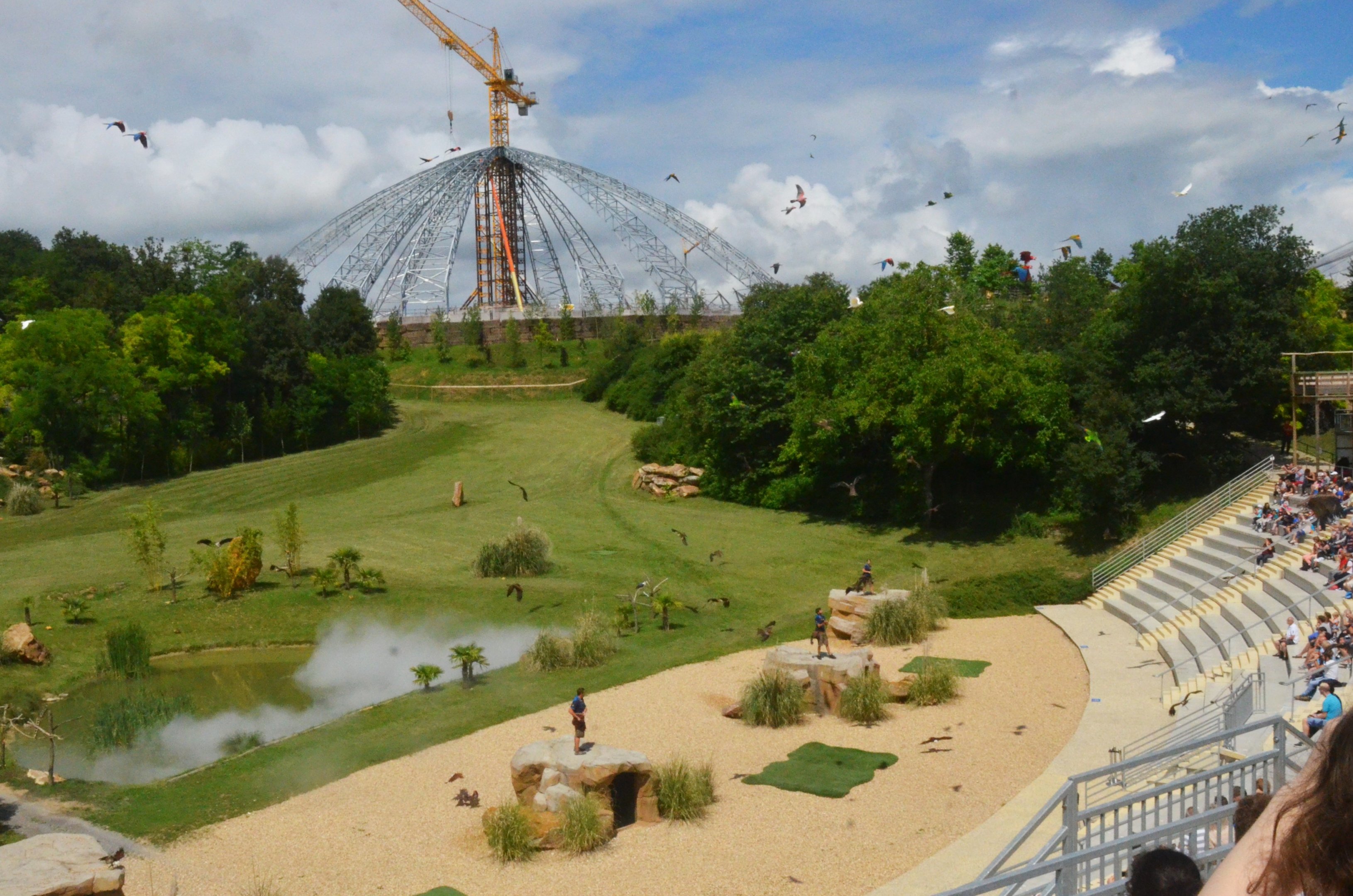 Arrival of the Parrots - Les Maîtres des Airs at Beauval, 12/06/18