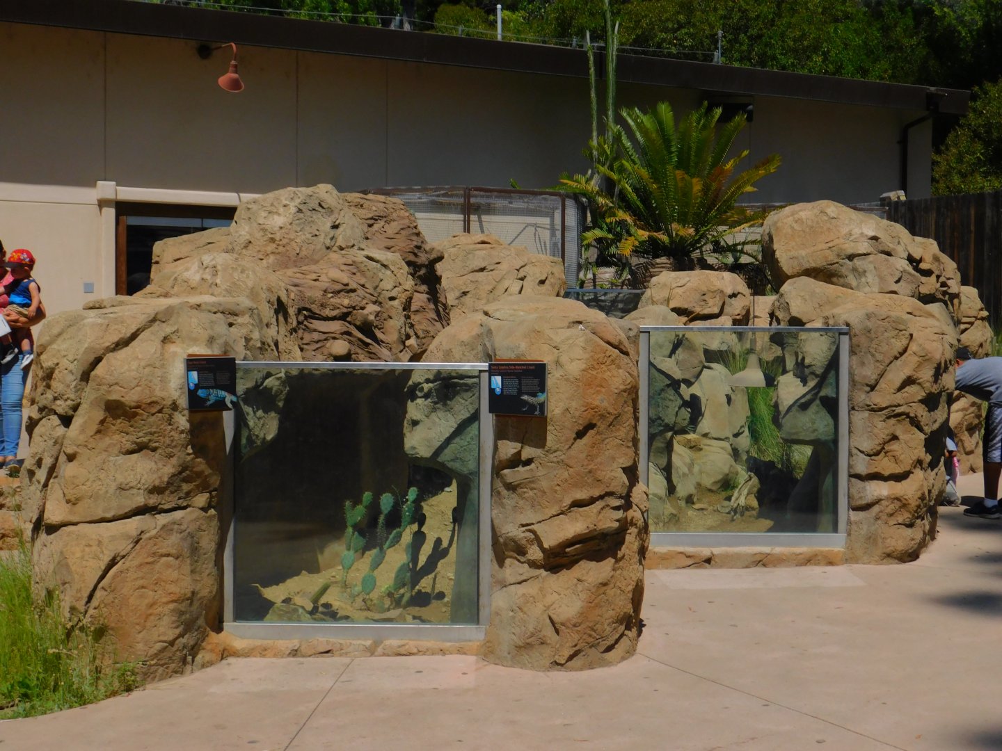 Arroyo Lagarto exhibit