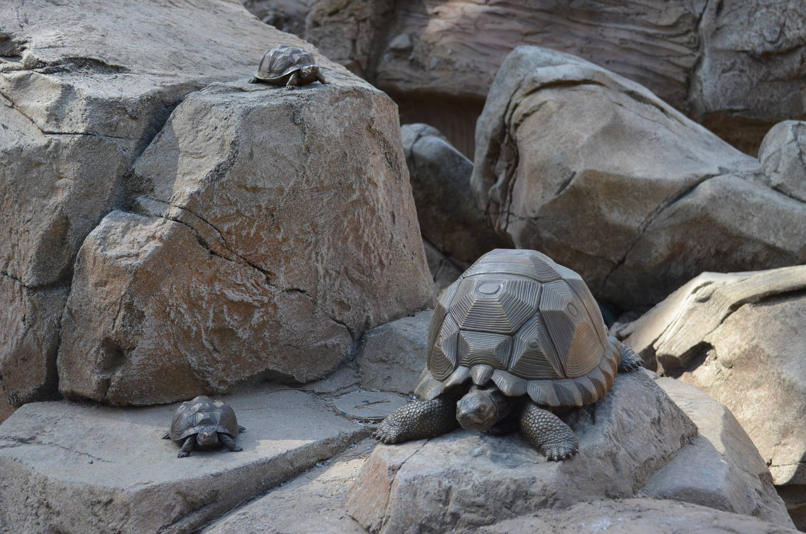 ARROYO LAGARTO SCULPTURES