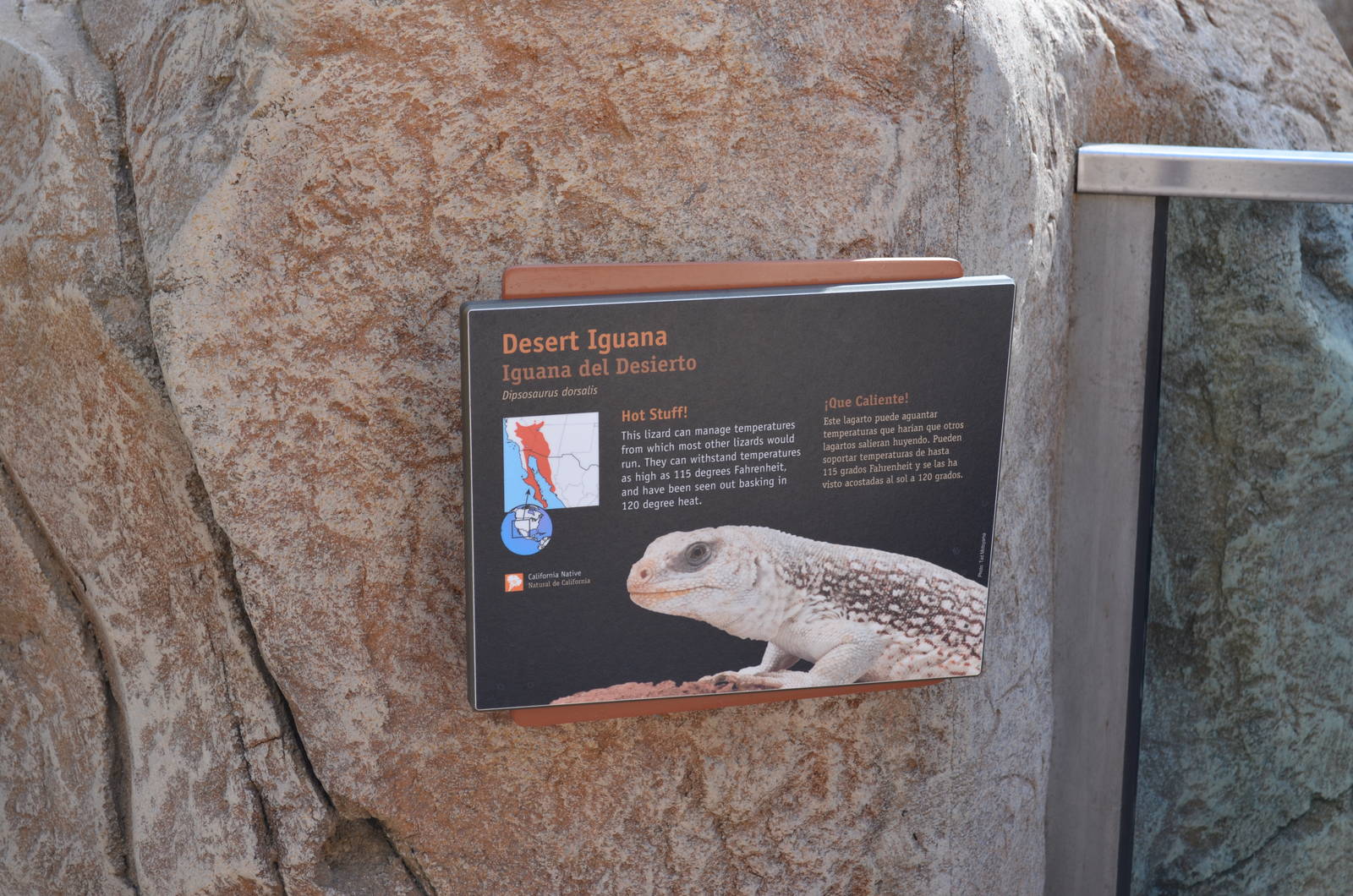 ARROYO LAGARTO SIGNAGE