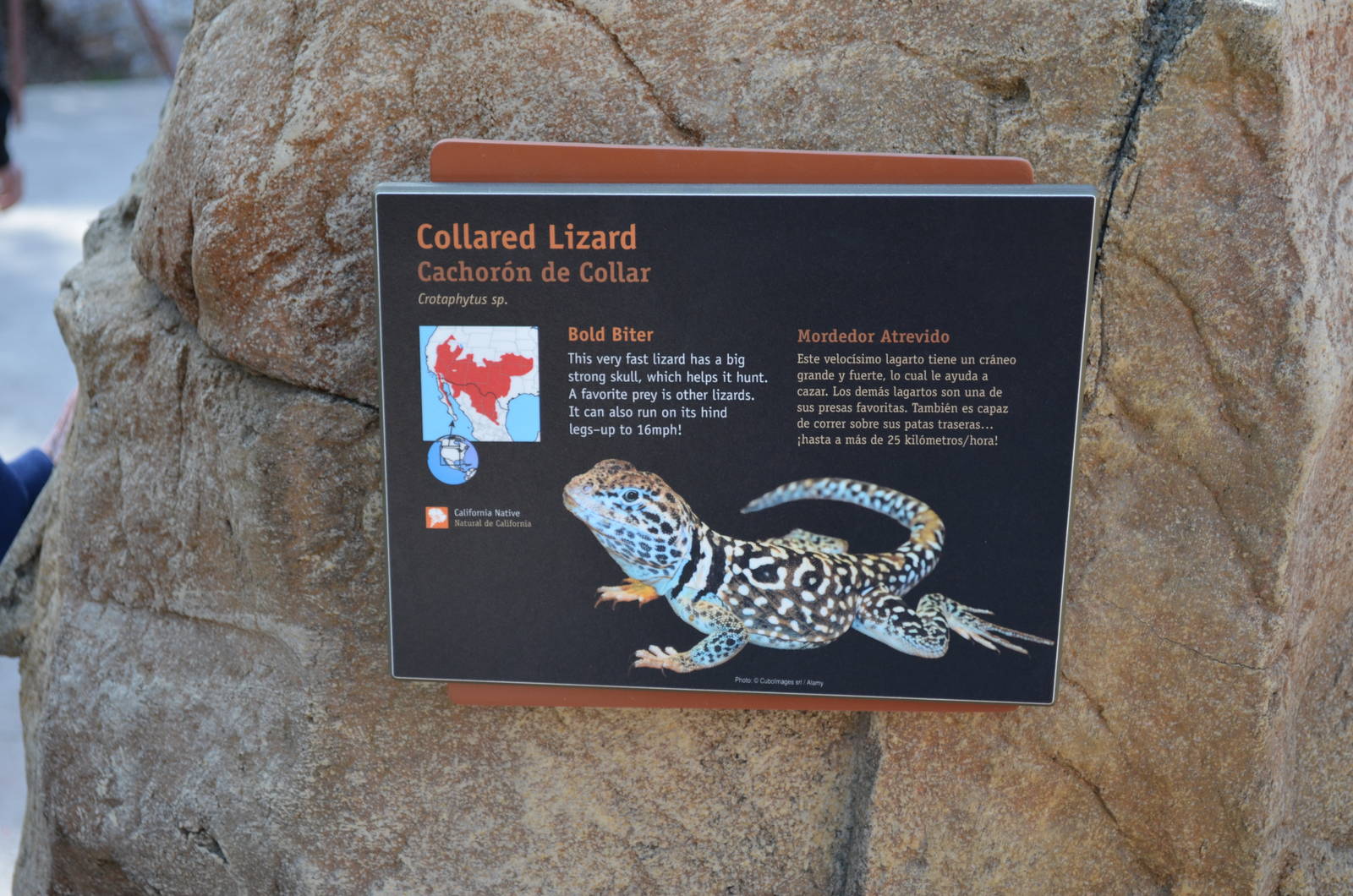 ARROYO LAGARTO SIGNAGE