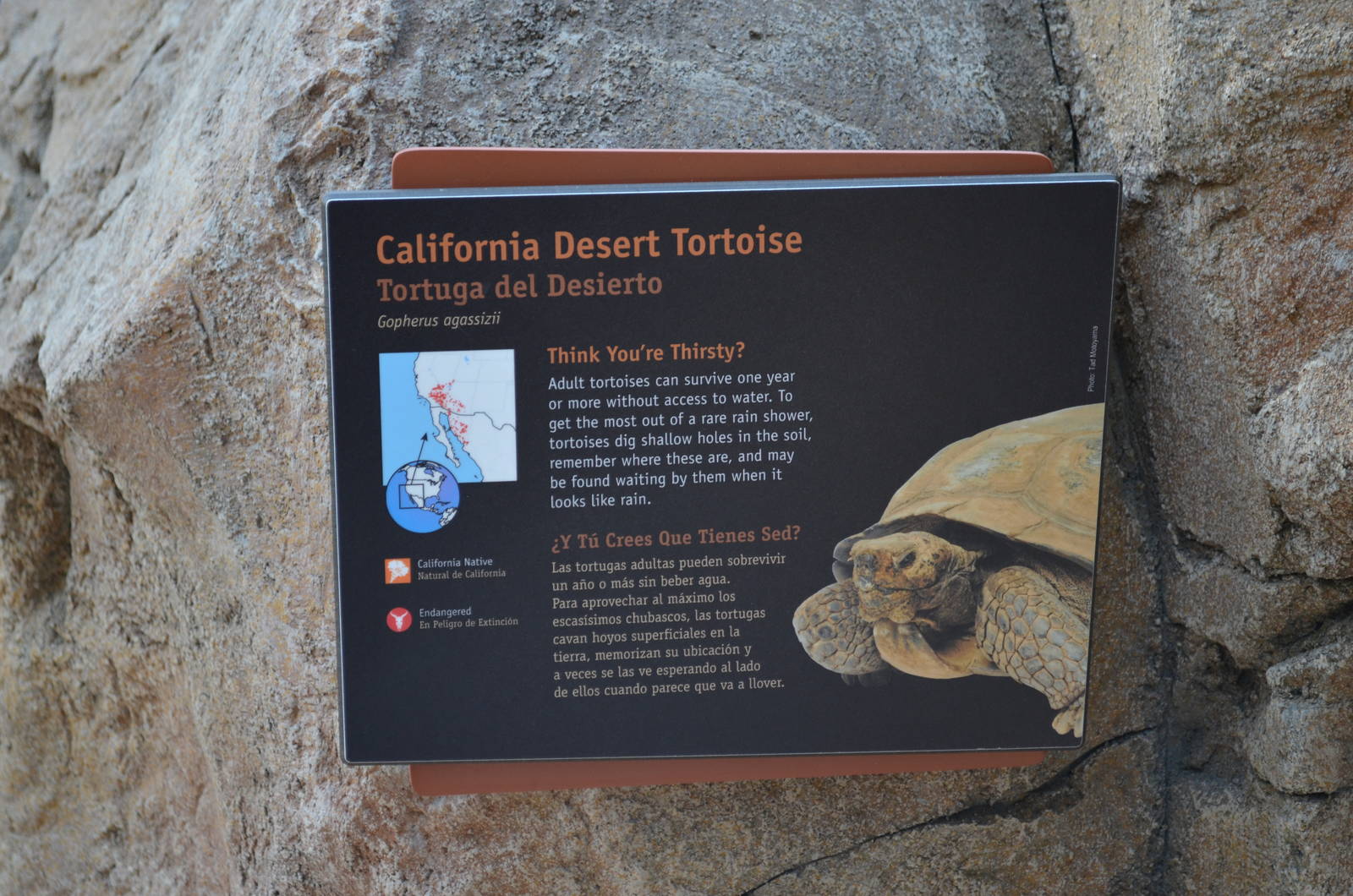 ARROYO LAGARTO SIGNAGE