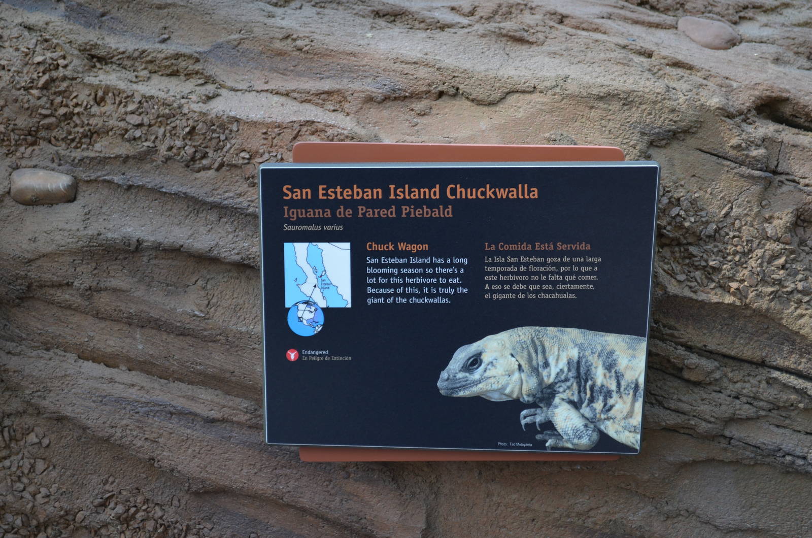 ARROYO LAGARTO SIGNAGE