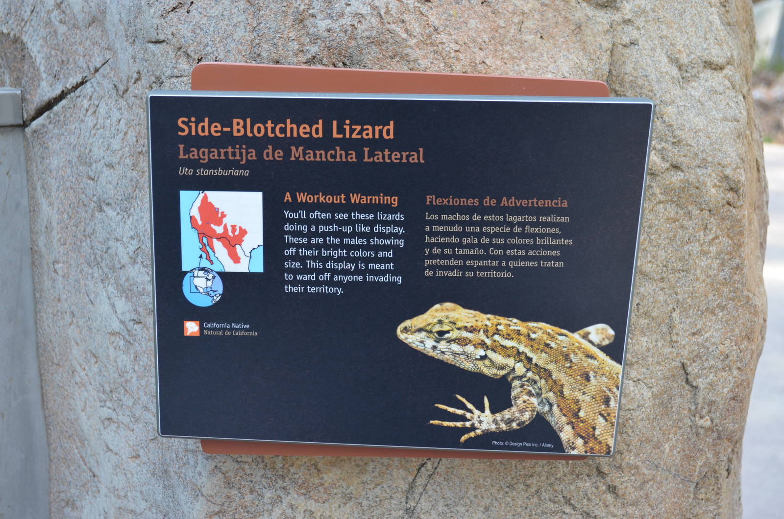 ARROYO LAGARTO SIGNAGE