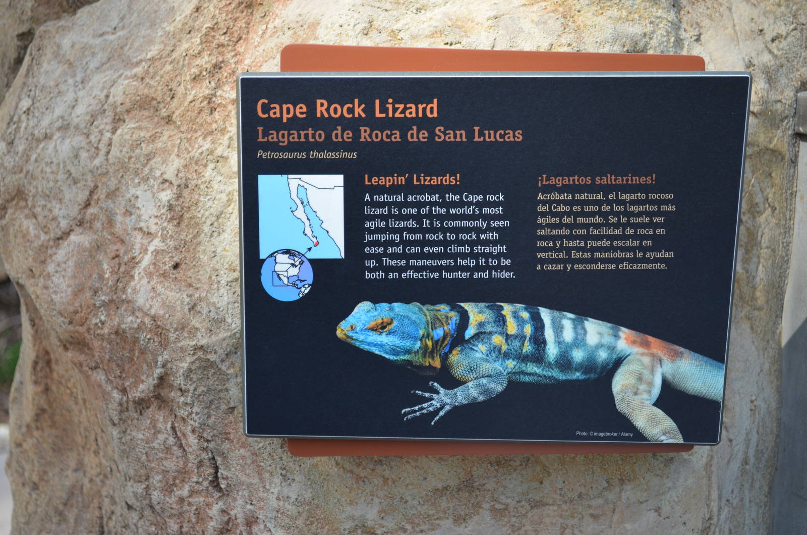 ARROYO LAGARTO SIGNAGE