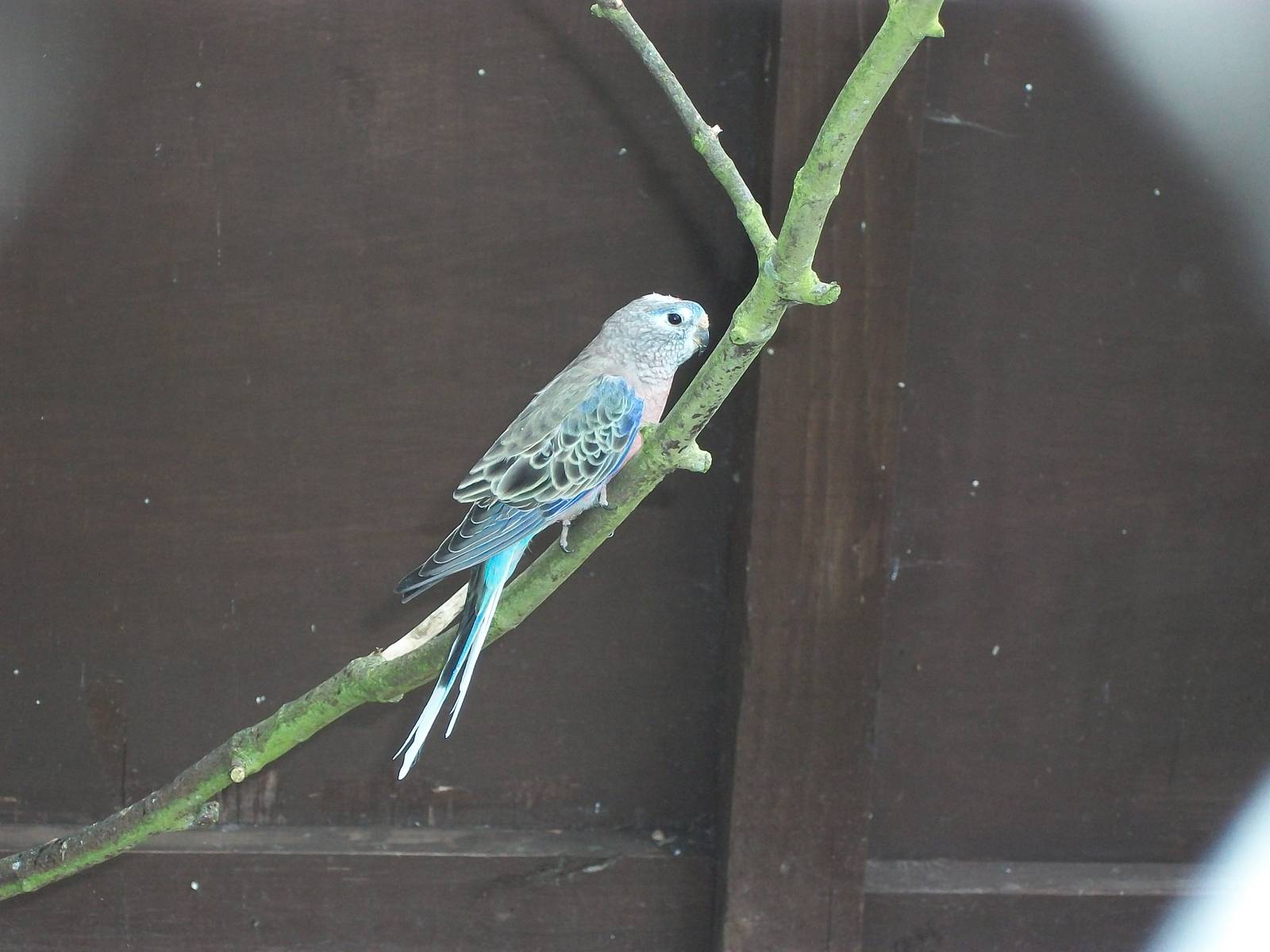 Arrrived today, 27th June 2014