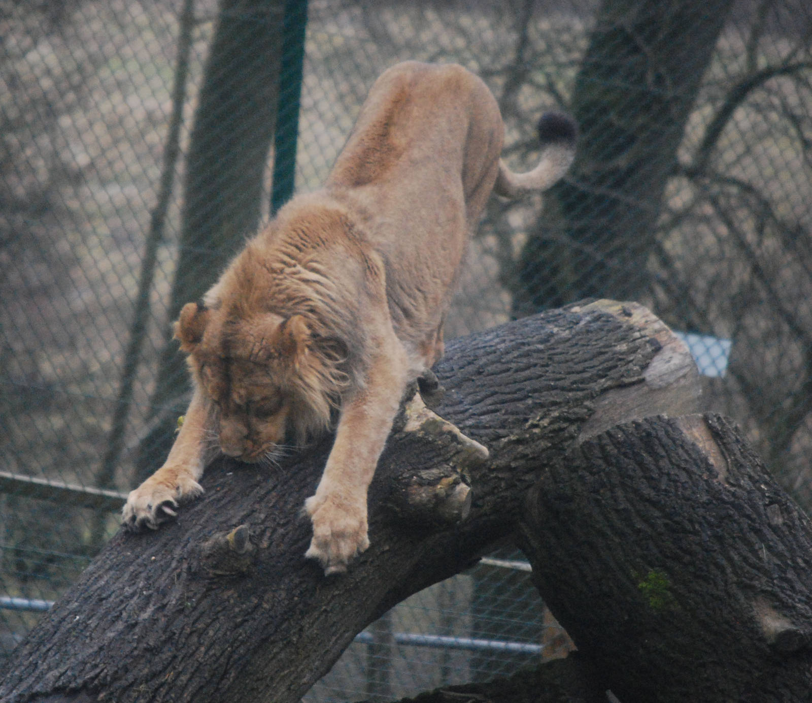 arrrrrrh well maybe tomorrow