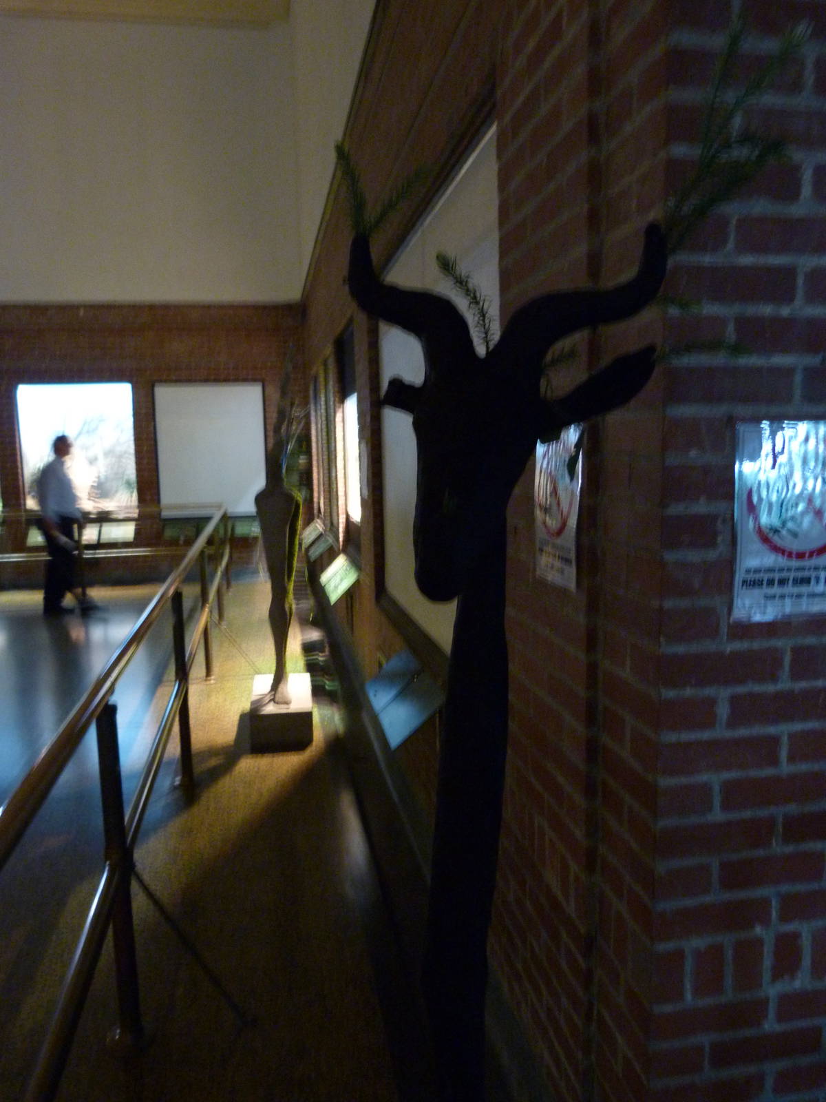Art in the Reptile House