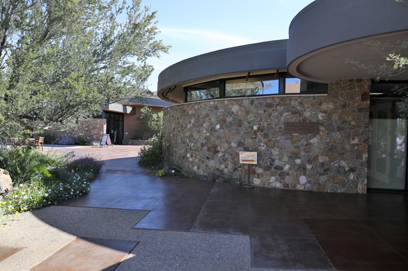 Art Institute (old and new)