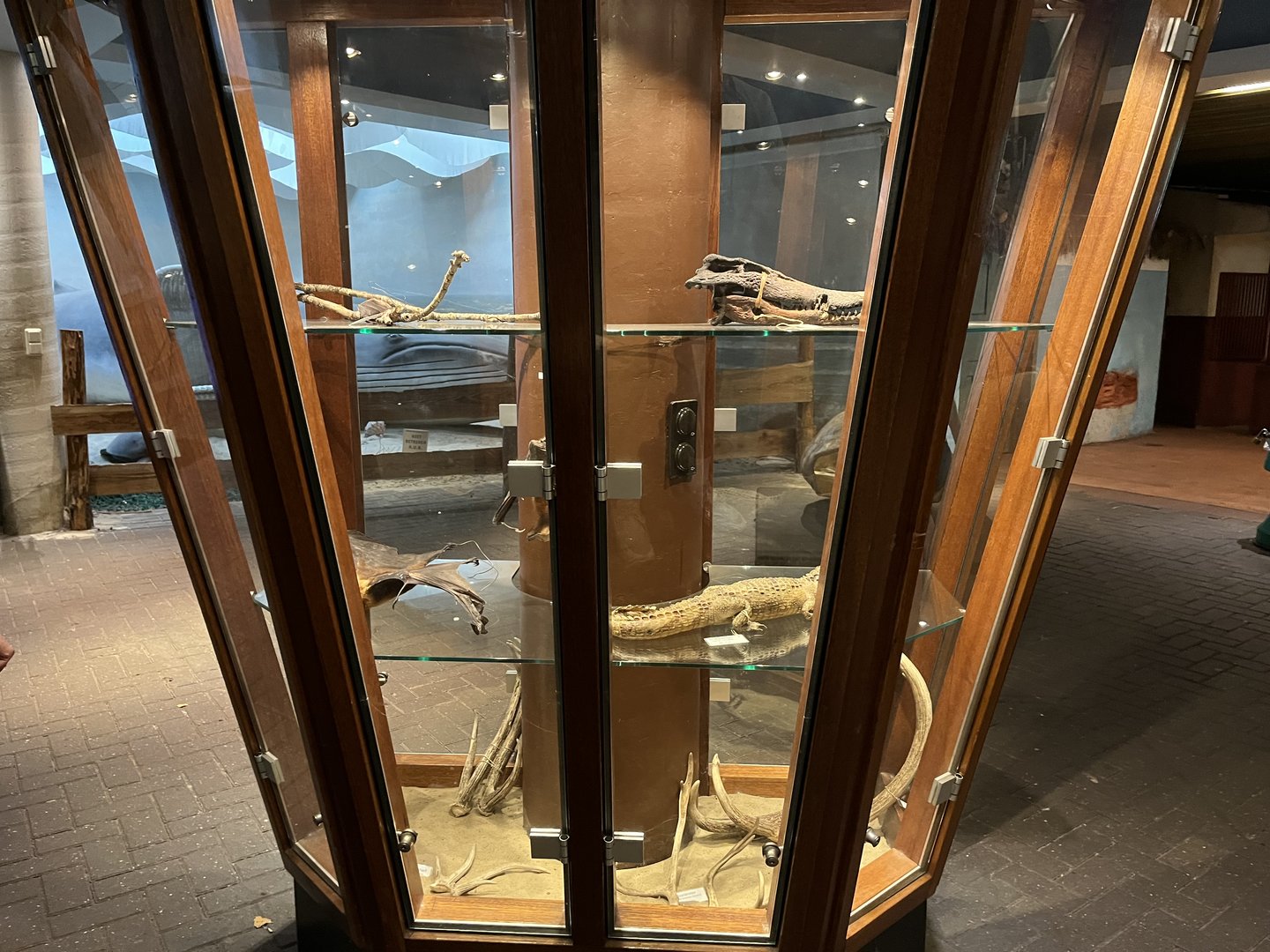 Artefacts outside Ocean