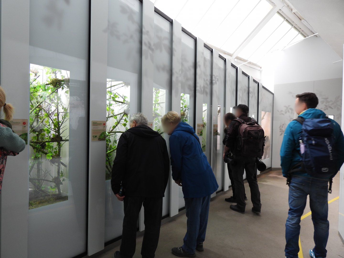 Artenschutz house general overview