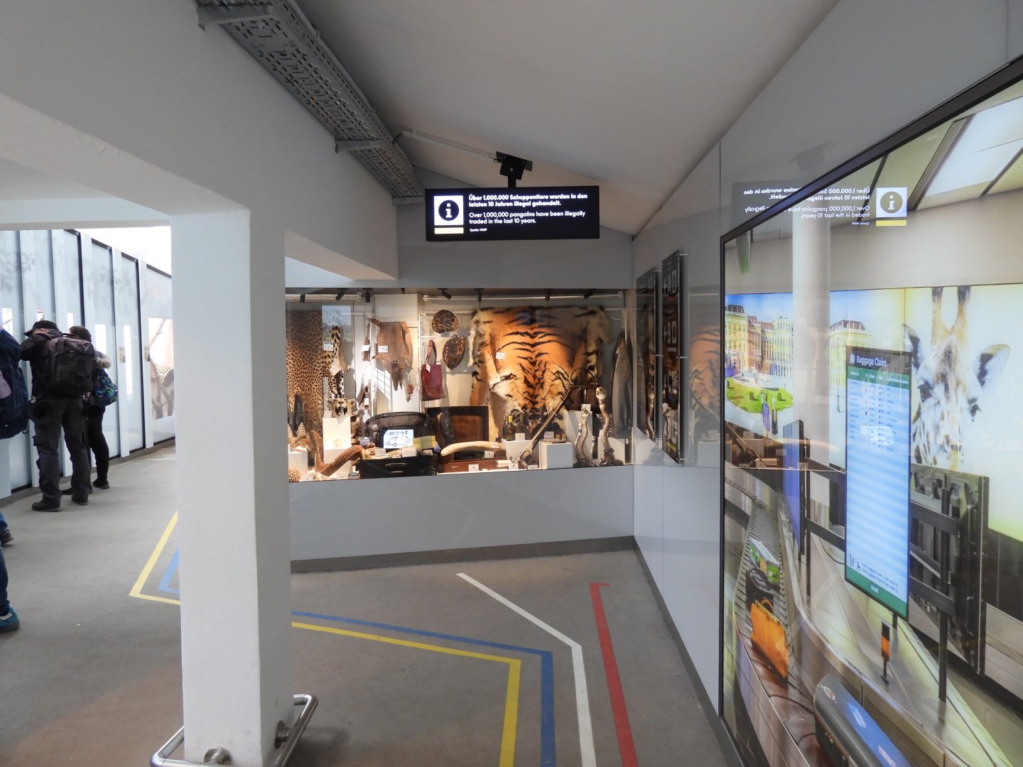 Artenschutz house - Generel overview