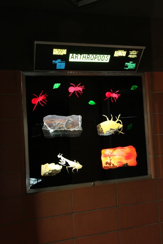 arthropod exhibit