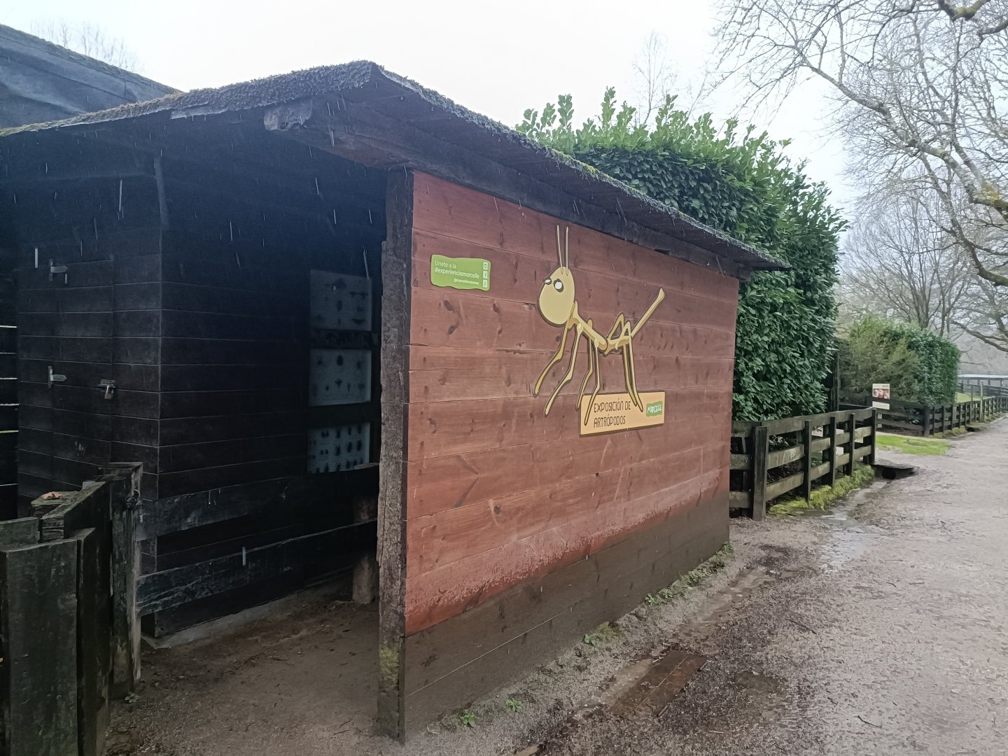 Arthropod exhibition -Marcelle Naturaleza