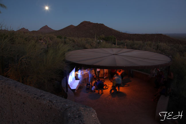 arthropod interpretation