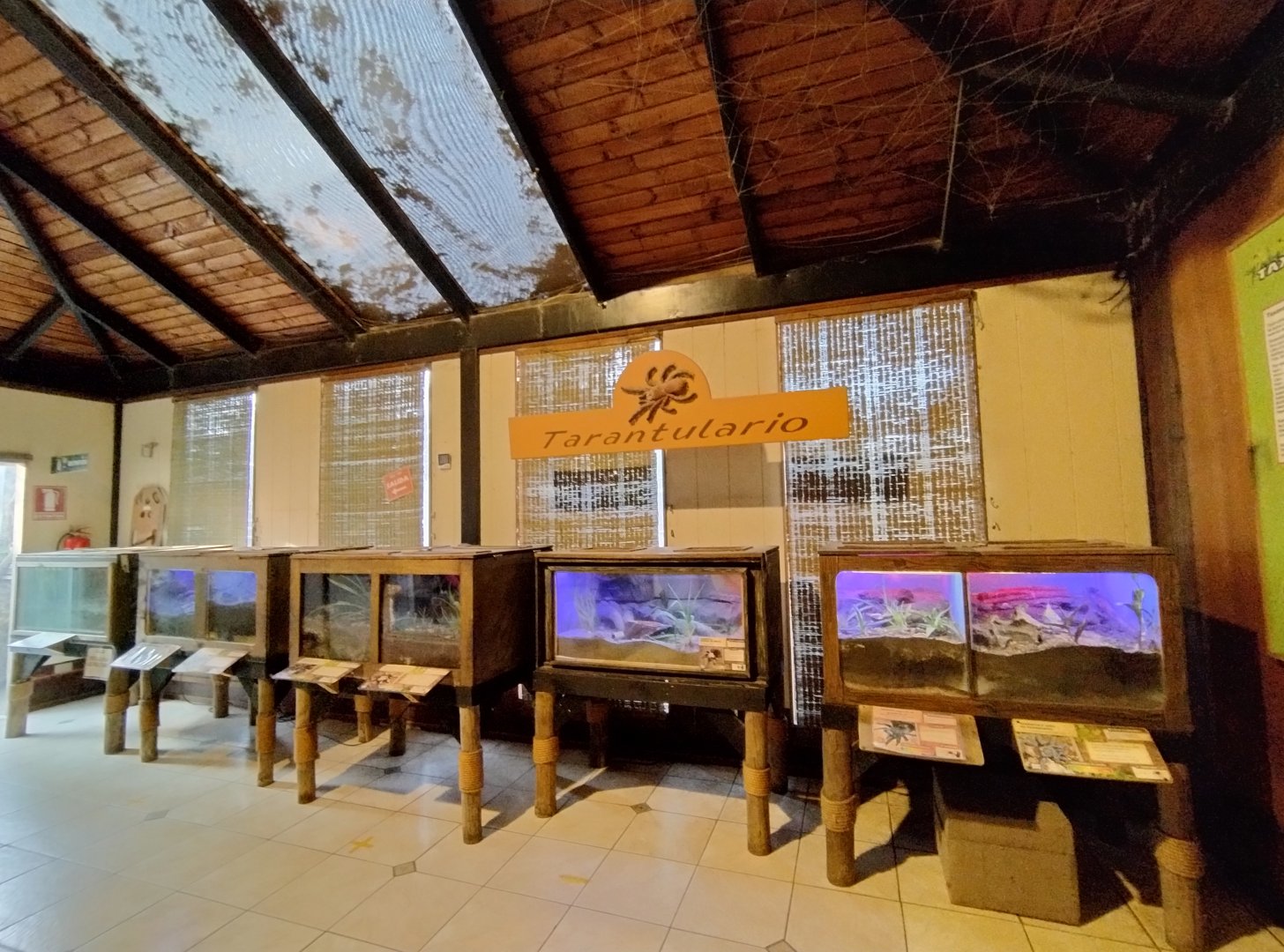 Arthropodarium - Buin zoo