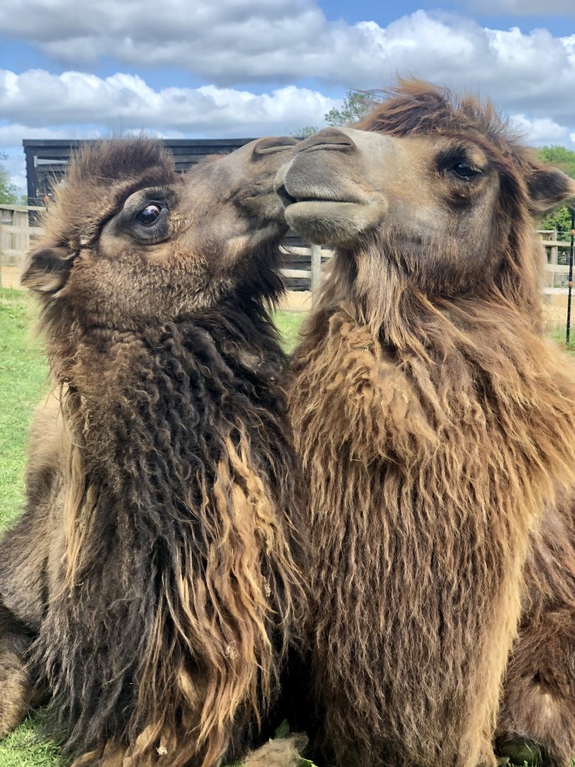 Arthur & Alice (L-R)