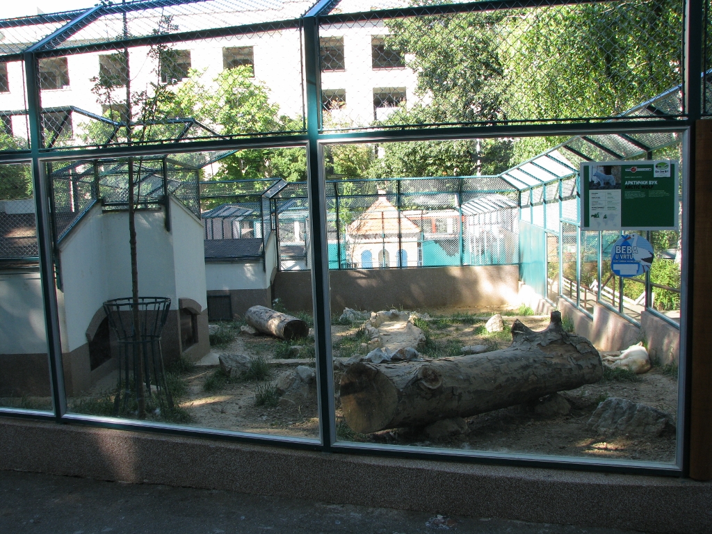 Artic Wolf Enclosure