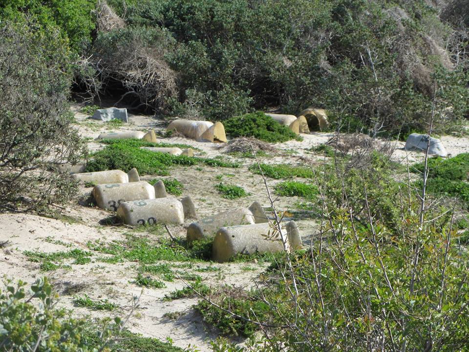 Artifical African Penguin Nests