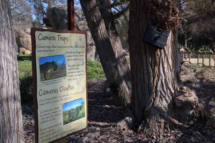 Artificial camera trap