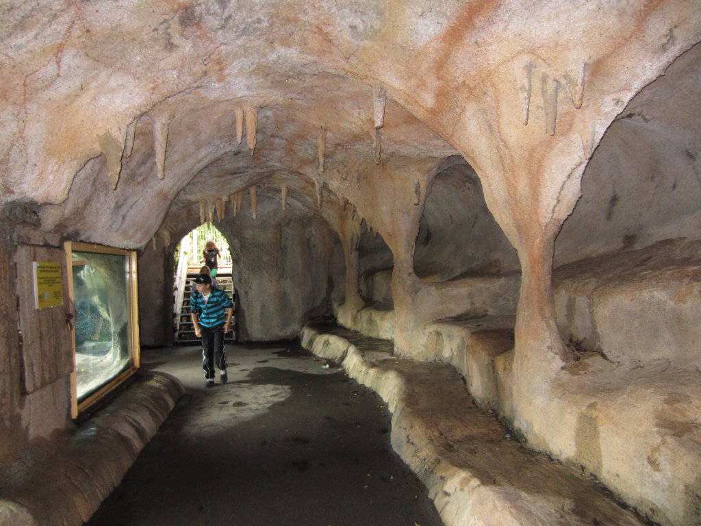Artificial Cave - ground level viewing of Lions