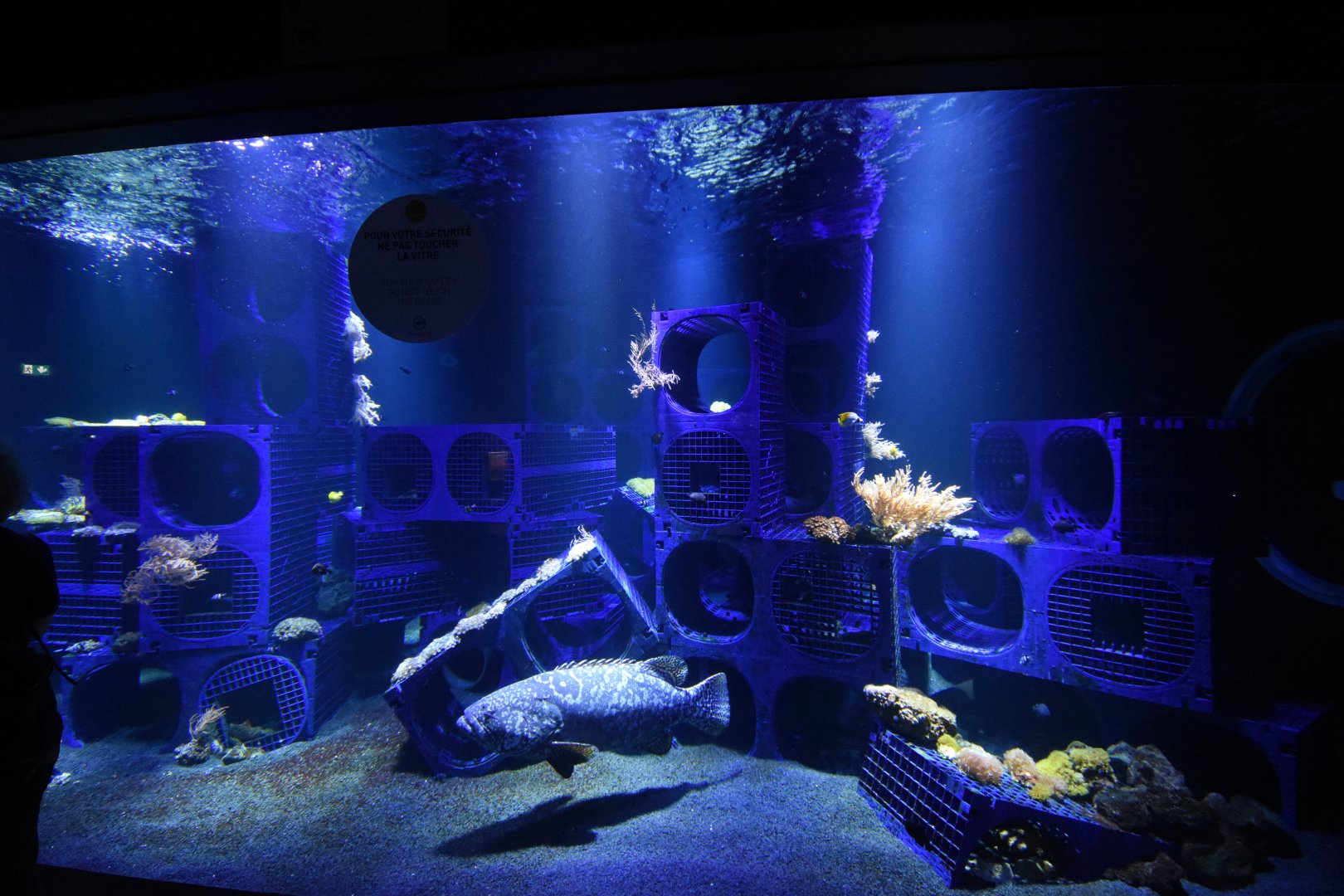 Artificial coral reef