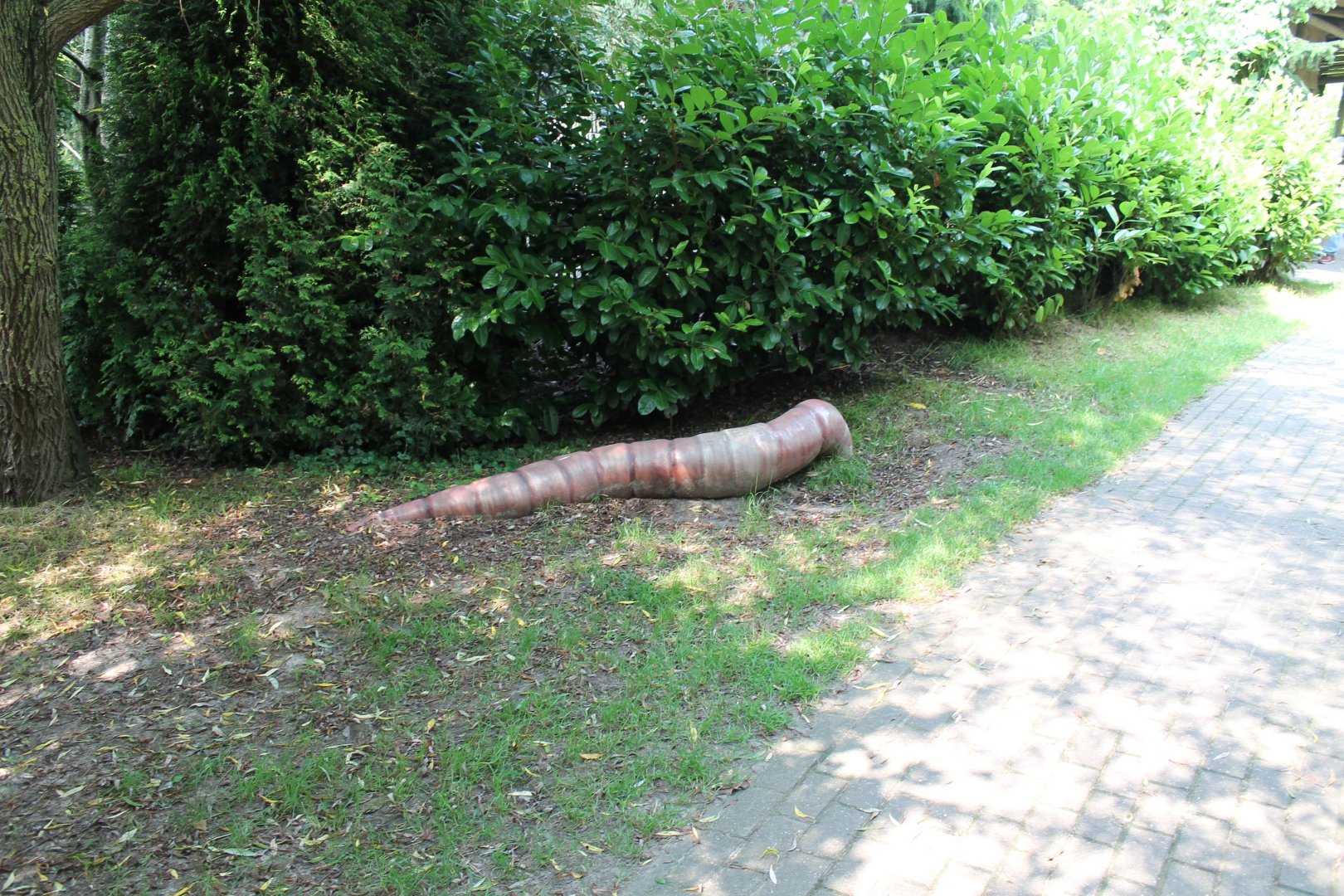 Artificial Earthworm