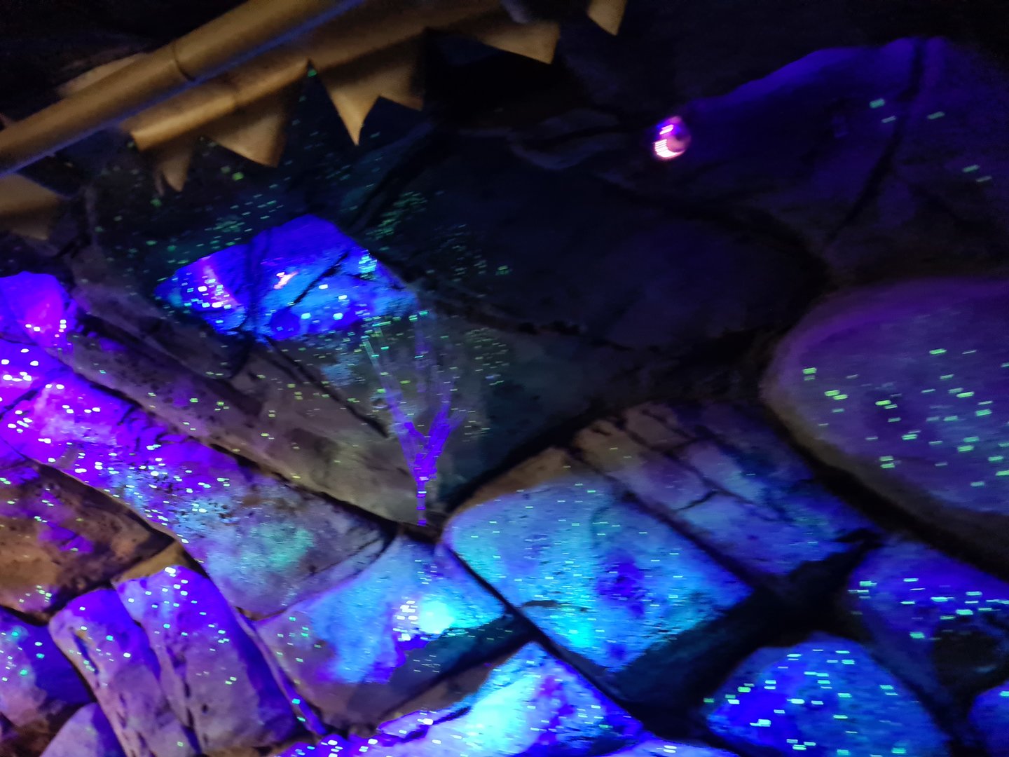 Artificial glowworms in Rimbula river boat ride