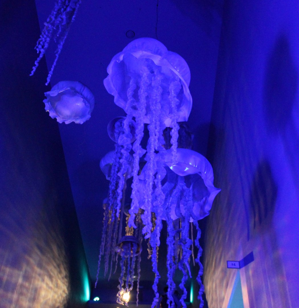 Artificial jellyfish above escalator