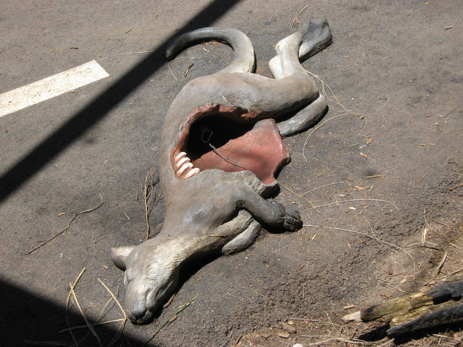 artificial kangaroo carcasse