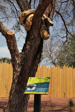 artificial rock python