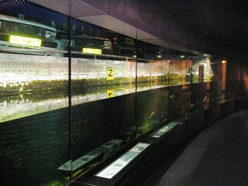 Artis / Amsterdam Aquarium