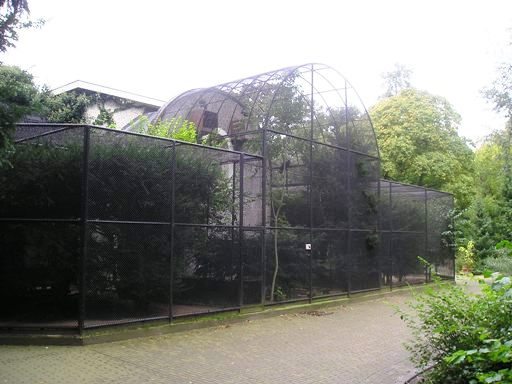 Artis / Amsterdam Birds