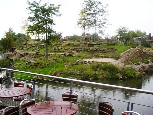 Artis / Amsterdam Oryx