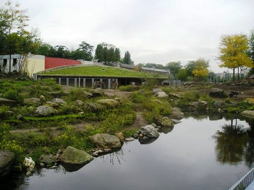 Artis / Amsterdam Savanna