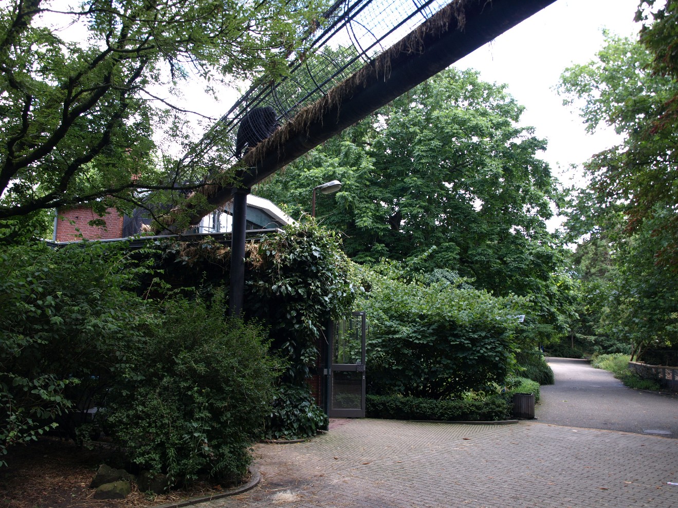 Artis - Chimpanzee House