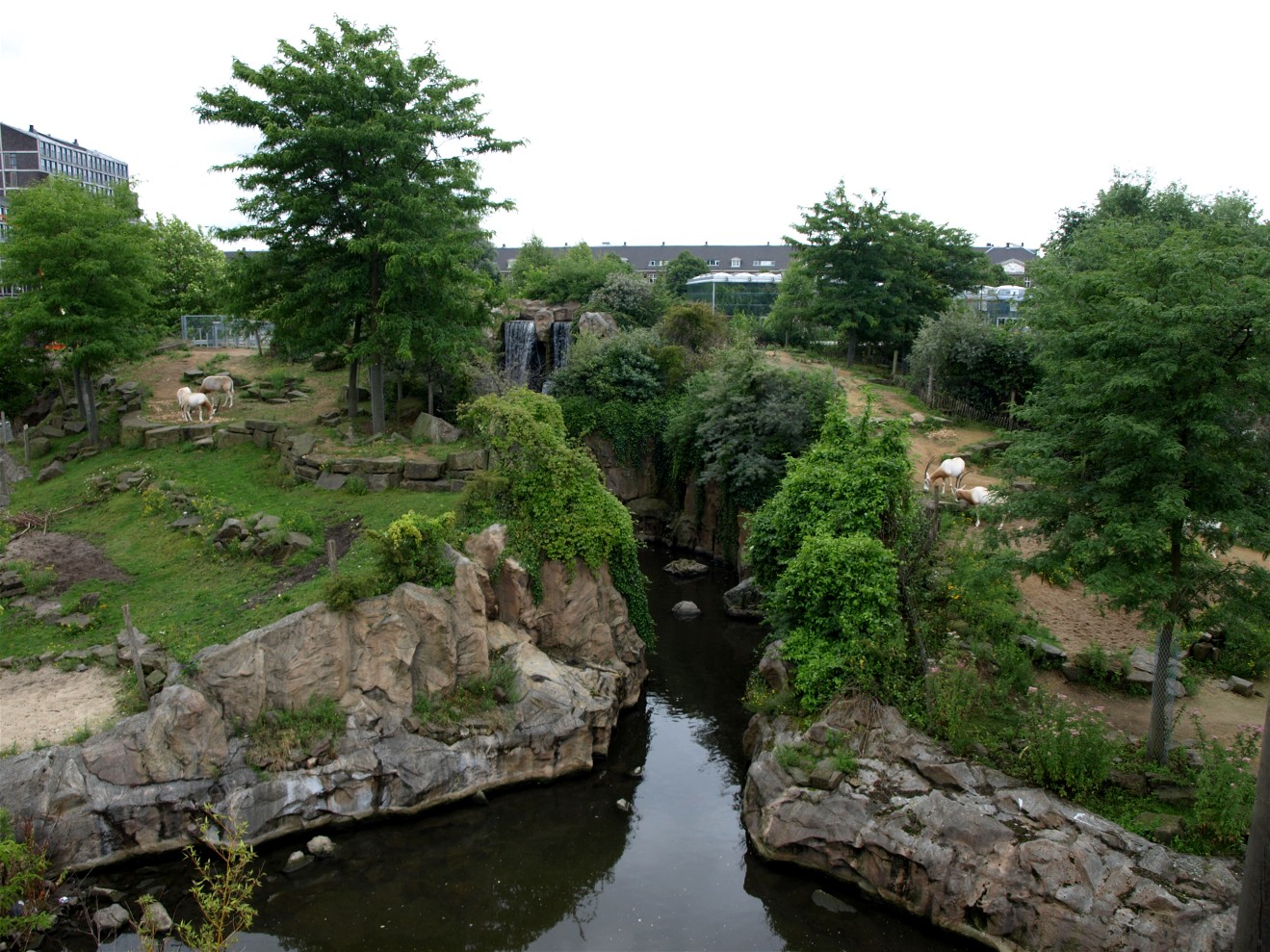 Artis - Desert savannah