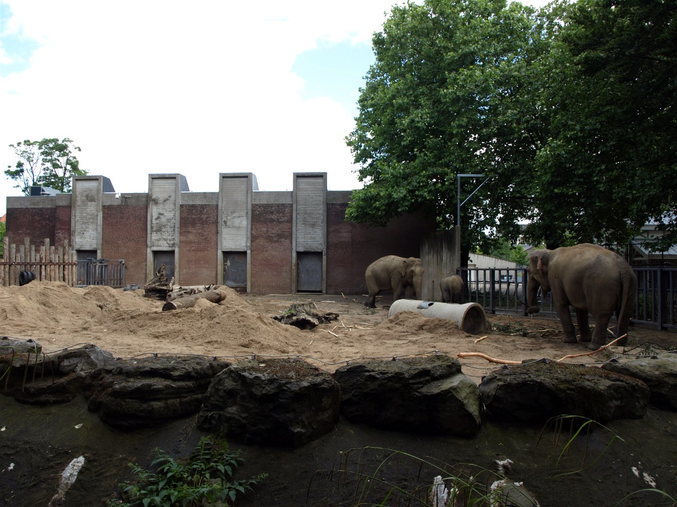 Artis - Elephant exhibit
