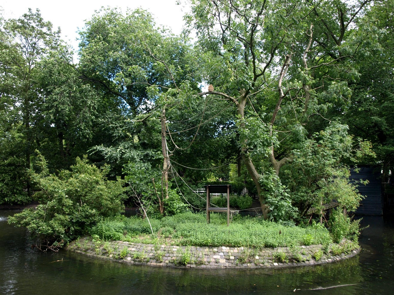 Artis - Gibbon Island