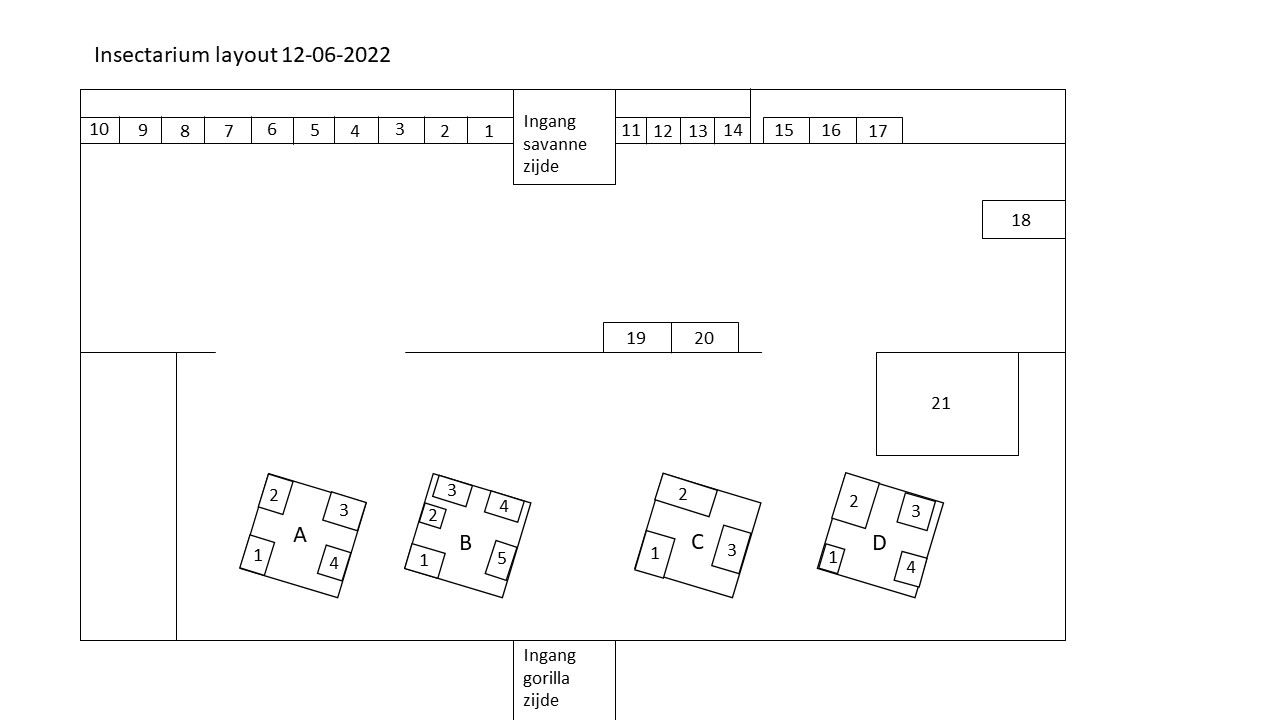 Artis Insectarium layout (12/06/2022)
