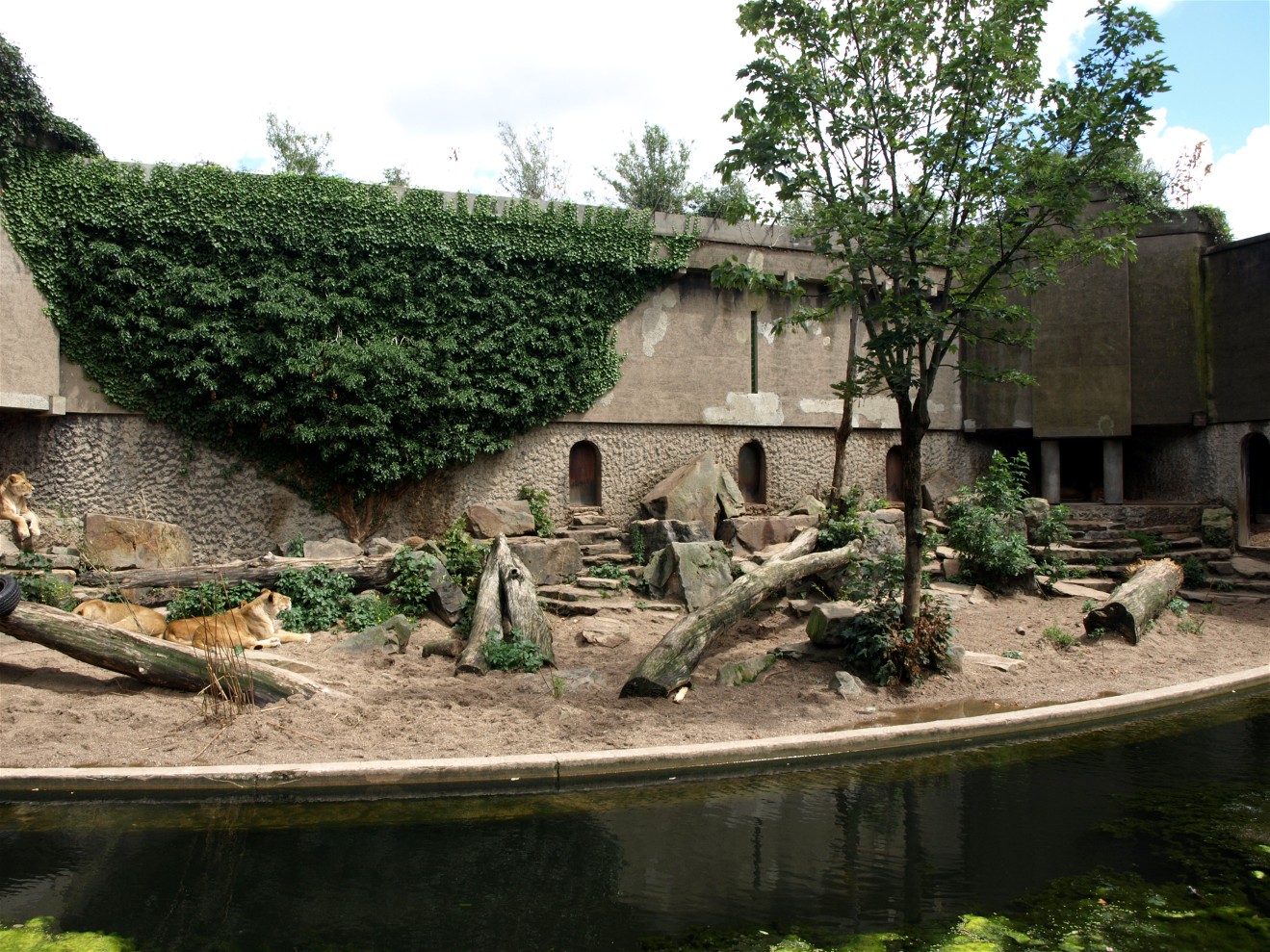 Artis - Kerbert Terrace