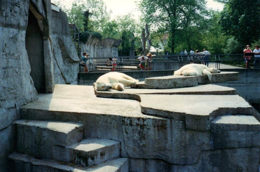 Artis polar beras 1994