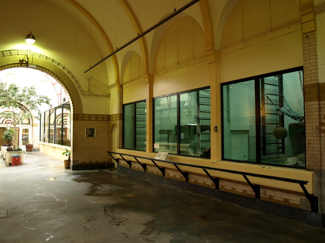 Artis - Primate House