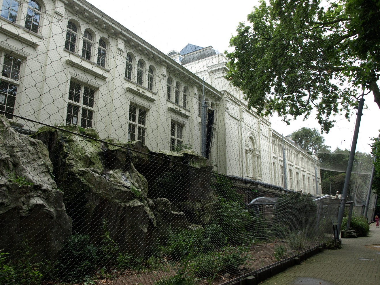 Artis - Vultures of Europe