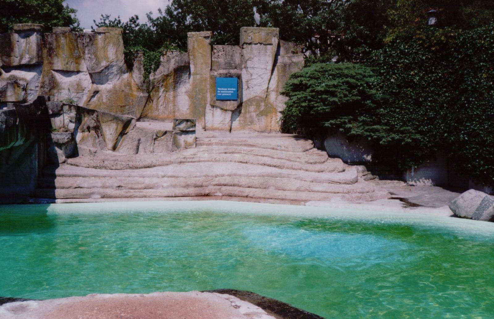 Artis Zoo 1999 - California Sea Lion exhibit