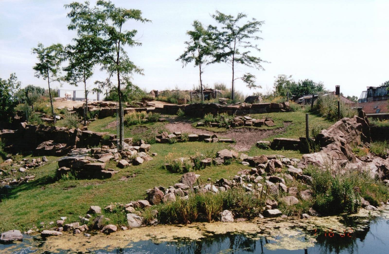 Artis Zoo 2002 - Scimitar-Horned Oryx and Springbok exhibit
